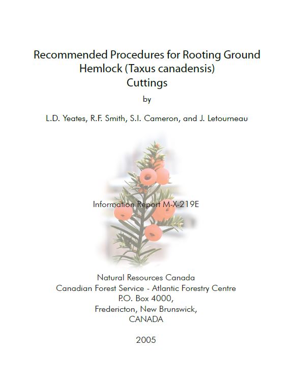 Procedures for Rooting Ground Hemlock (Taxus Canadensis